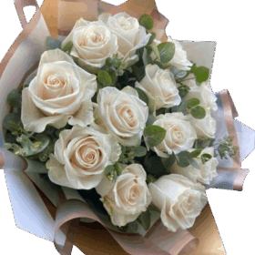 Bouquet 12 Rosas Ecuatorianas